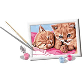 CreArt Serie E - Gattini Amici